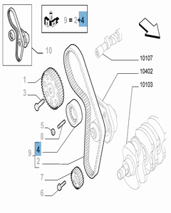 Tendicinghia regolabile