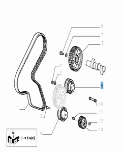 Tendicinghia fisso per Fiat e Fiat Professional